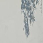 春分得宜