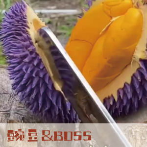 【案件】三妻四妾的下场