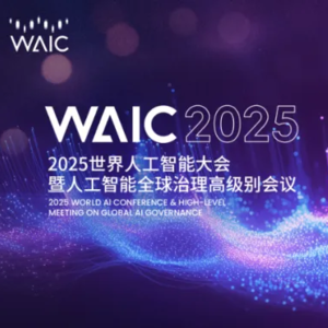 17. 2025 WAIC 世界人工智能大会 10大亮点 10大观点及10大趋势前瞻