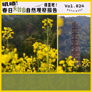 Vol.024 叽喳!春日天台山自然观察报告请查收!