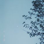 茄子咸蛋黄
