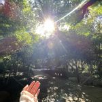 LiXiaoqian-