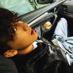 守在港口的猫