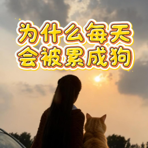 【人间清醒】为什么你每天累成狗，却没干成什么事？答案扎心了
