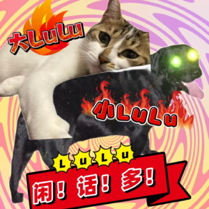 刺激！跳过TA，加了TA另一半的微信！