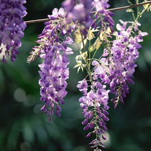 内存串联3.1基本概念