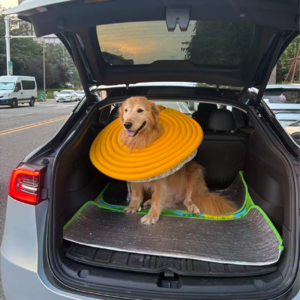 特斯拉车主说:救命之恩! -第13期-Model Y-22万