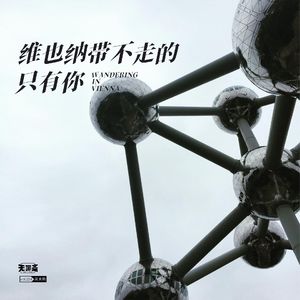vol.224 维也纳带不走的，只有你
