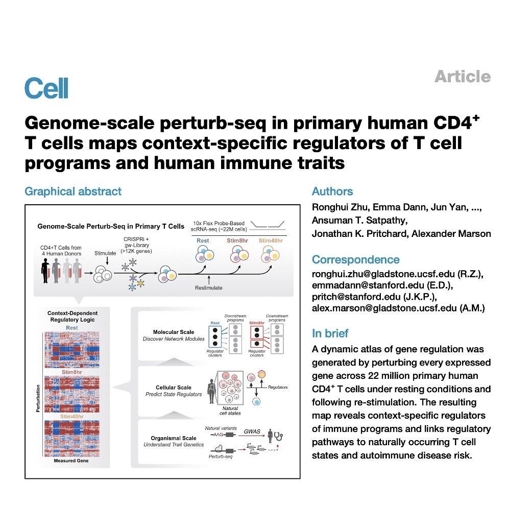 1659-Genome-Scale Perturb-Seq Mapping of Human T Cell
