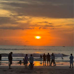 20. 巴厘岛的矛盾感，喝一瓶bintang，抬头就是梯田 | 生活