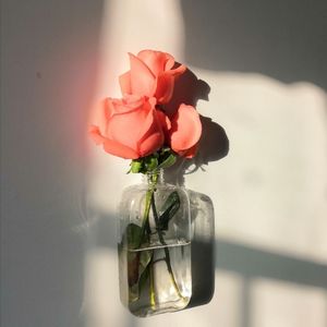 少珊