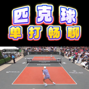 匹克球单打畅聊