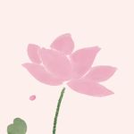 稳稳Di
