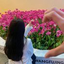 尔尔辞晚_VFan