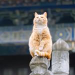 一二三四五六七八