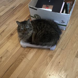 podcaster-avatar