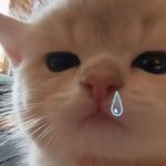 随机生成一颗树