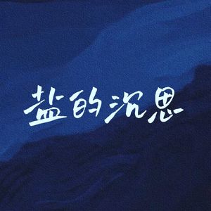 盐的沉思