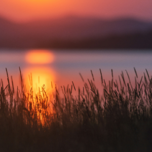 EP170 预测因子回报的机器学习方法