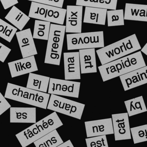 英伟达致力于解决人工智能在多语言领域的难题