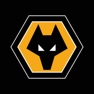 05.四场连败被拿下,六战全胜月最佳~24/25赛季英超20队盘点(五):狼队