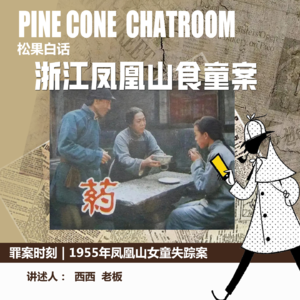 52.罪案时刻|旧时代的“药”：1955年浙江凤凰山食童案