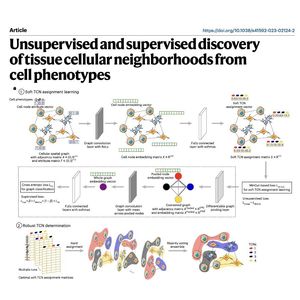 1176-CytoCommunity：基于图神经网络的组织细胞领域识别算法