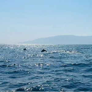 E6 文化转译者：品牌出海不是走出去，而是‘走进去’