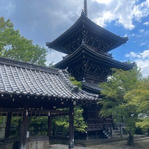 2.罗生门？罗城门？竹林中？未知的真相