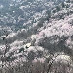 沿虚线撕开即可保持良好