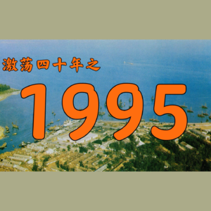 E33.1995年的中国发生了什么?【激荡四十年·1995】