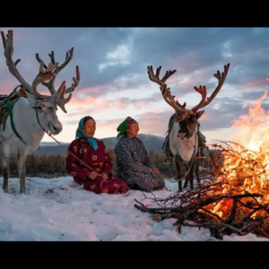 《额尔古纳河右岸》“山林里的民族挽歌与生命诗意”