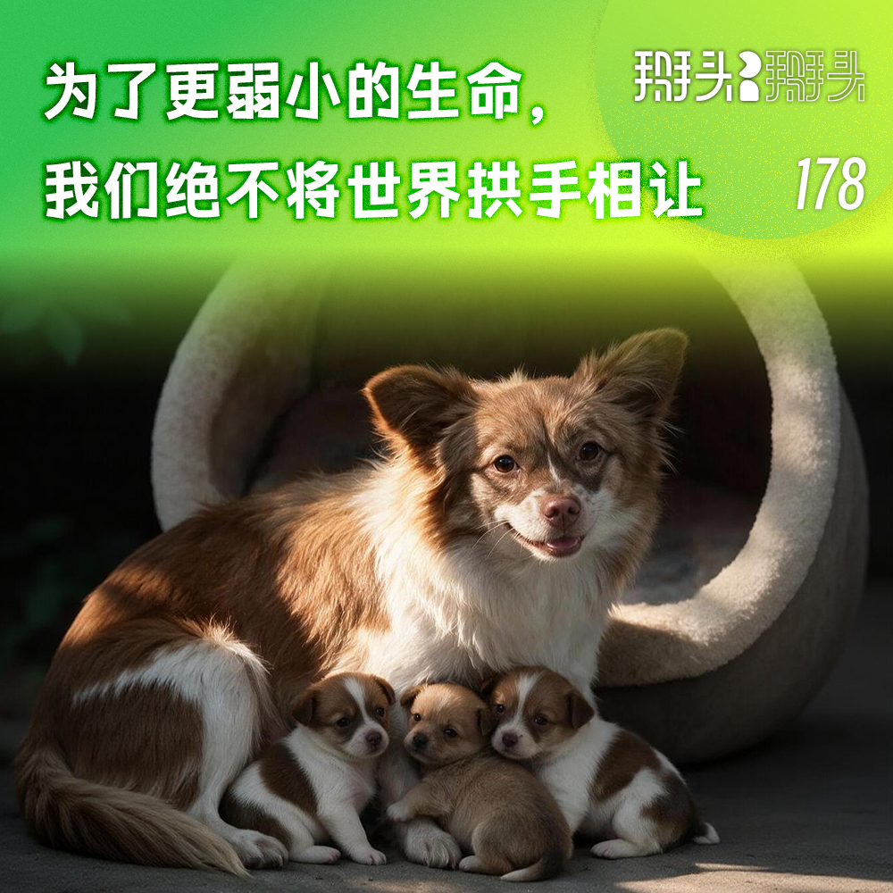 178：为了更弱小的生命，我们绝不将世界拱手相让