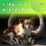 178：为了更弱小的生命，我们绝不将世界拱手相让