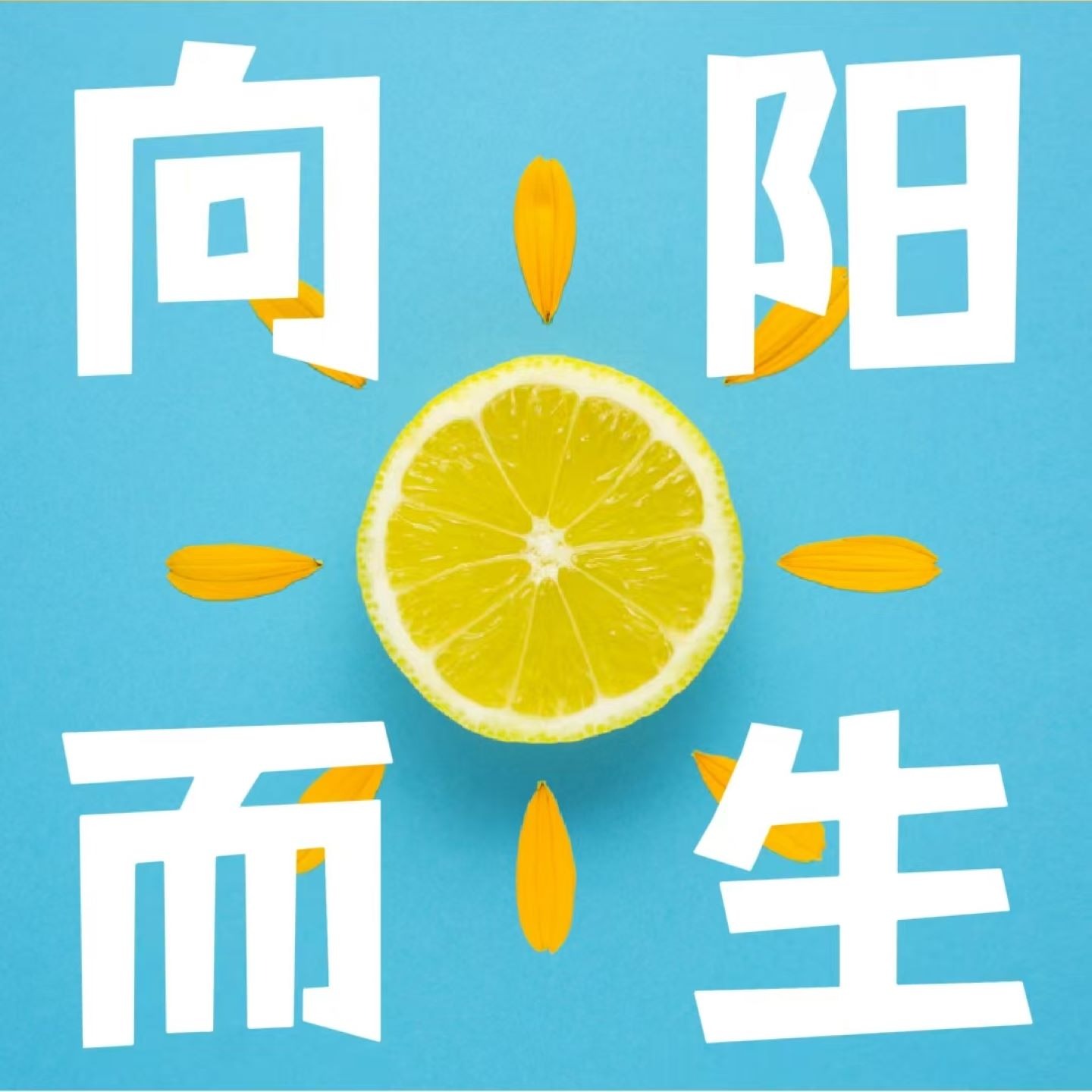 向阳而生☀upup！