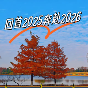 回首2025→奔赴2026