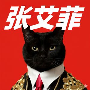 张艾菲说日本