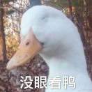 玫瑰人生秦姐打工中