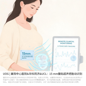 UOG | 襄阳中心医院&华科同济&UCL:15 mm腹贴超声把胎动识别做到90%以上