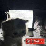 恐龙吃吃果