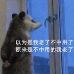 巴巴巴巴巴巴巴巴