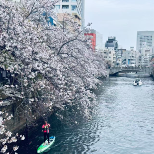 三月物语：燕姿香港演唱会、回国见闻（吃喝玩乐版）、拉斐尔大展、魔法使之夜