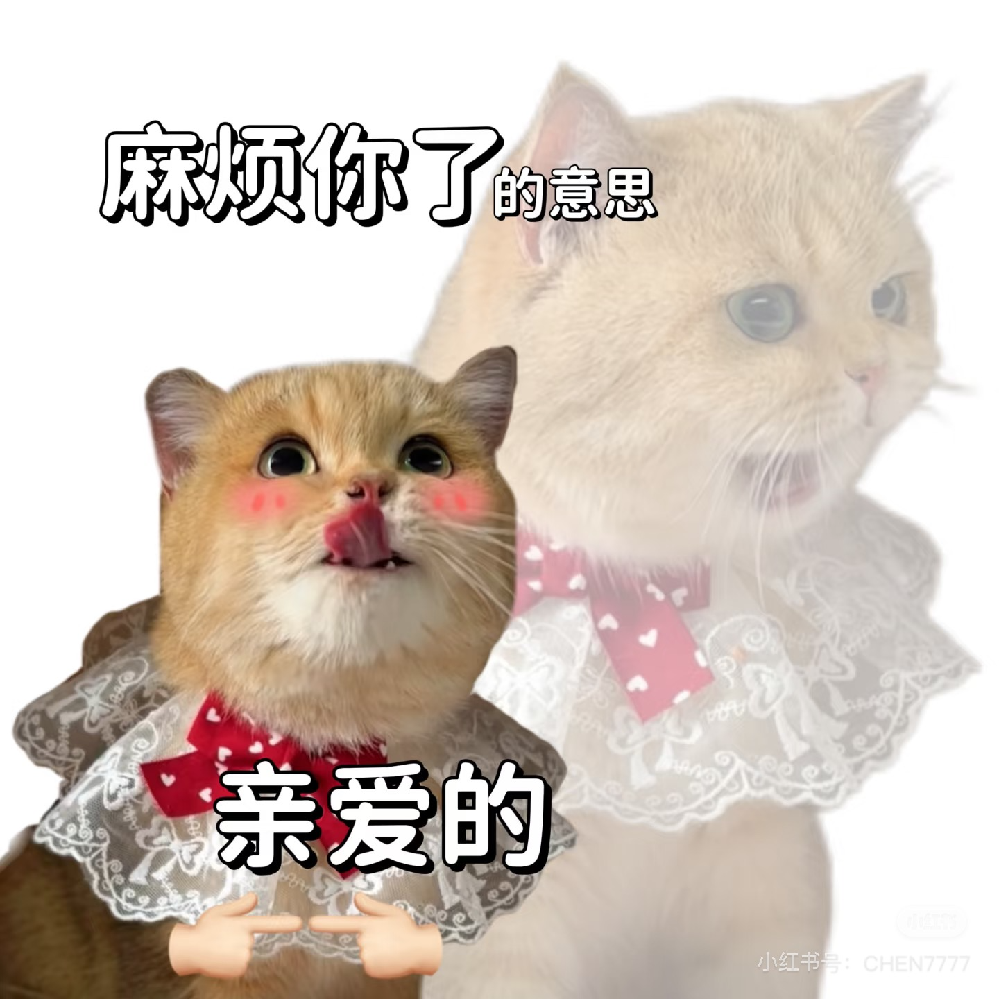 cover of episode 33.你患上“文字讨好症”了吗
