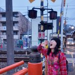 夹心jiaxin