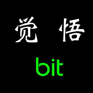 觉悟bit