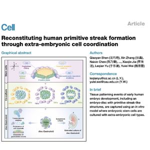 1321-Reconstituting Human Gastrulation