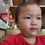 达绿藕