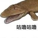 獭子_B5lZ
