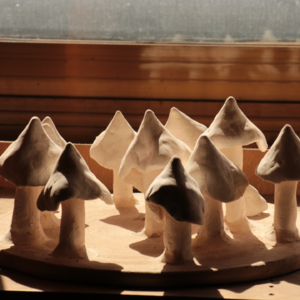 01｜旅居在云南边境，第一月的初体验