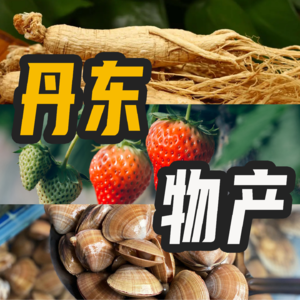 Vol. 5｜有朋到京西来-丹东小十四（丹东的那些“好东西”）